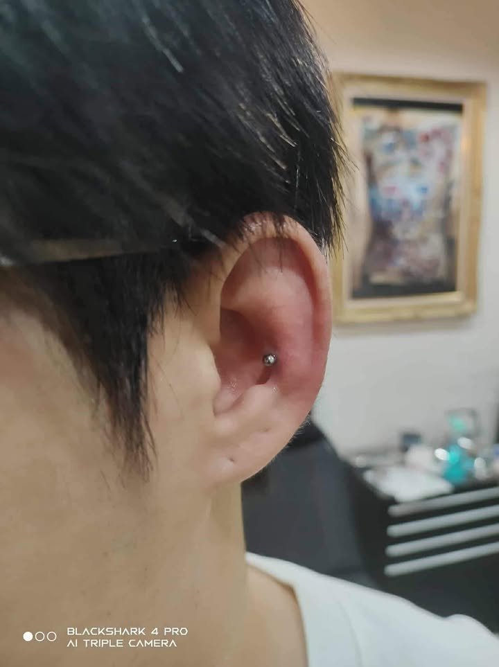 ผลงานสัก